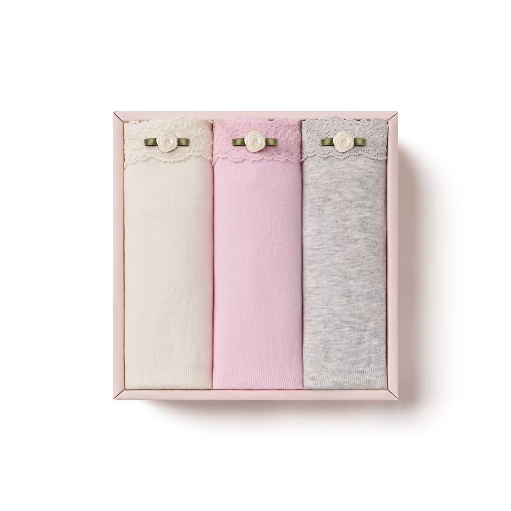 Juniors LaceSoft Panty 3-Pack | CB-PNT-LFS1
